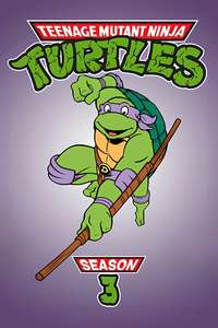 Teenage Mutant Ninja Turtles - Posters