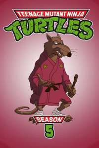 Teenage Mutant Ninja Turtles - Posters