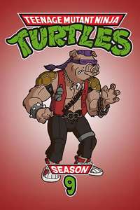Teenage Mutant Ninja Turtles - Posters