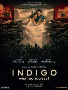 Indigo - Poster