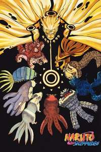 Naruto Shippūden - Poster