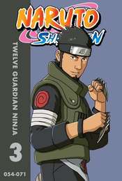 Long-Awaited Reunion Twelve Guardian Ninja