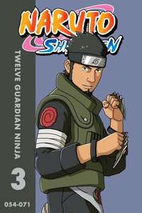 Twelve Guardian Ninja - Poster