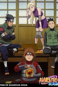 Twelve Guardian Ninja - Poster