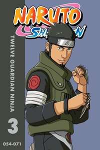 Twelve Guardian Ninja - Poster