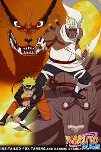 Nine-Tailed Fox Taming and Karmic Encounters - Poster