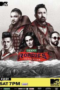 MTV Roadies - Posters