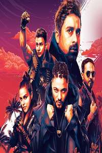 MTV Roadies - Posters