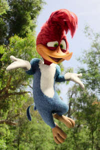 Woody Woodpecker Goes to Camp - Posters