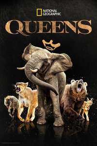 Queens - Posters