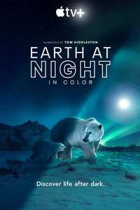 Earth At Night In Color - Posters