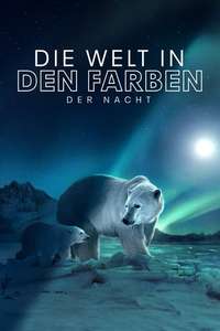 Earth At Night In Color - Posters