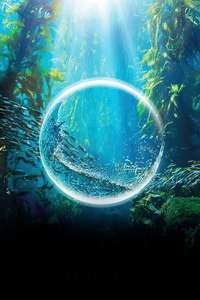 Blue Planet II - Posters