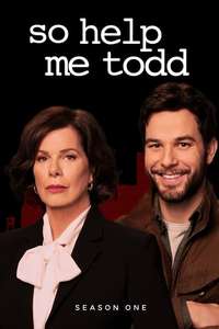 So Help Me Todd - Posters