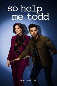 So Help Me Todd - Posters