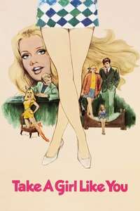 Take a Girl Like You - Poster