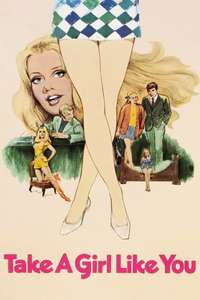 Take a Girl Like You - Poster