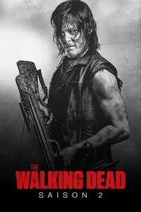 The Walking Dead - Posters