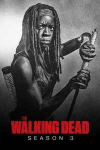 The Walking Dead - Posters