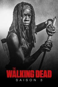 The Walking Dead - Posters