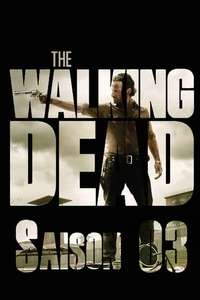 The Walking Dead - Posters