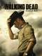 The Walking Dead : Season 9