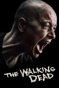 The Walking Dead - Posters