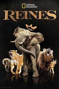 Queens - Posters