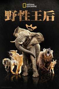 Queens - Posters