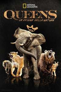 Queens - Posters