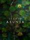 The Asunta Case : Limited Series