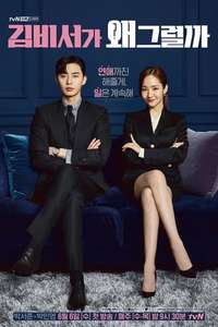 What's Wrong with Secretary Kim - Posters