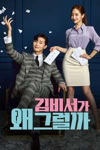 What's Wrong with Secretary Kim - Posters