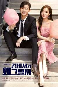 What's Wrong with Secretary Kim - Posters
