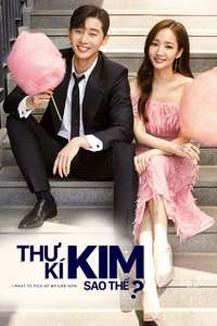 What's Wrong with Secretary Kim - Posters