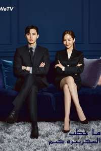 What's Wrong with Secretary Kim - Posters