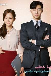 What's Wrong with Secretary Kim - Posters