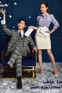 What's Wrong with Secretary Kim - Posters
