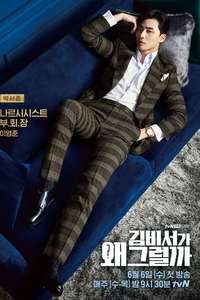 What's Wrong with Secretary Kim - Posters