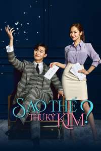 What's Wrong with Secretary Kim - Posters