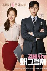 What's Wrong with Secretary Kim - Posters