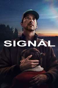 The Signal - Posters