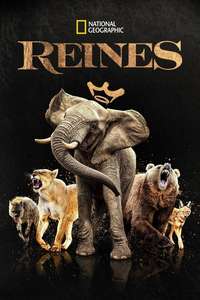 Queens - Posters