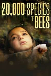 20 000 Species of Bees - Poster