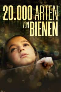 20 000 Species of Bees - Poster