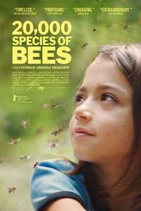 20 000 Species of Bees - Poster