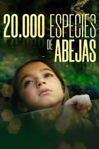 20 000 Species of Bees - Poster