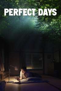 Perfect Days - Poster