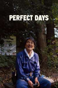 Perfect Days - Poster