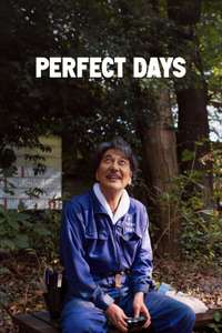 Perfect Days - Poster